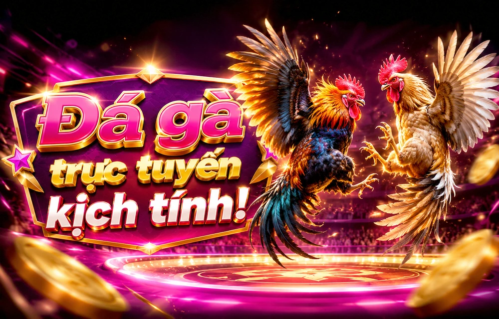 Cách bắt đầu tra cứu Tài khoản trên 678WIN